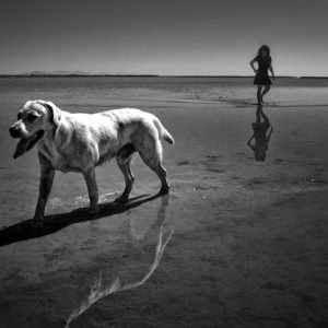 Πάμε Παραλία ή Βουνό | 2012 Πάμε Παραλία ή Βουνό | 2012